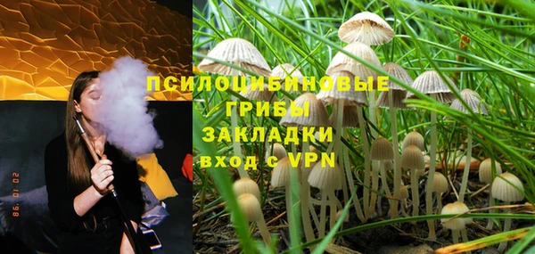 гашик Ессентукская