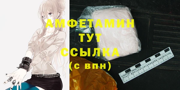 гашик Ессентукская