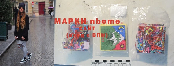 гашик Ессентукская